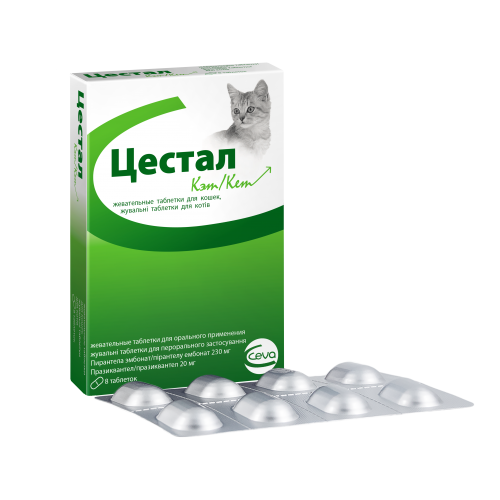 Цестал, антигельминтное лекарственное средство для кошек