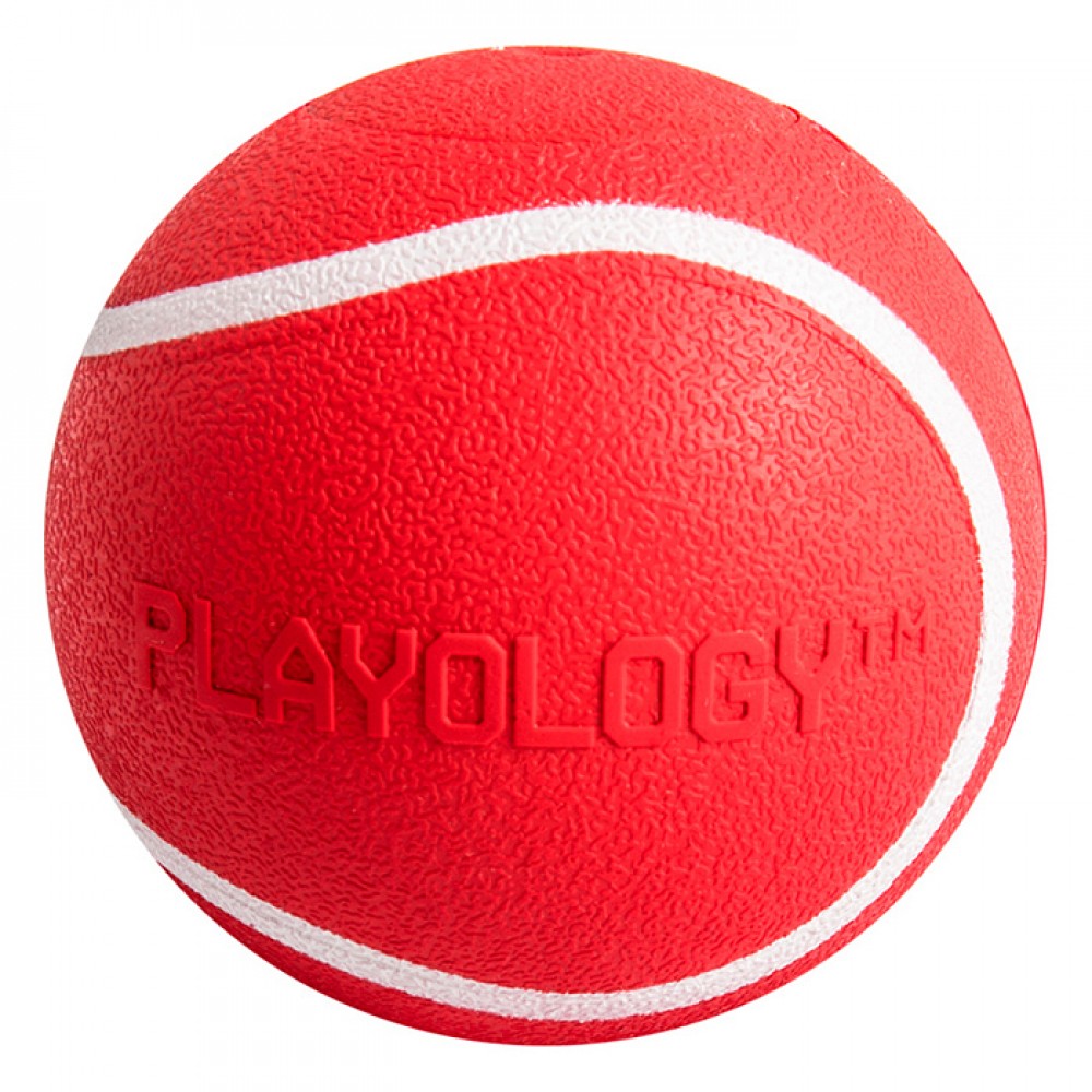 Playology - Игрушка для собак хрустящий жевательный мяч SQUEAKY CHEW BALL 6 см с пищалкой и с ароматом говядины