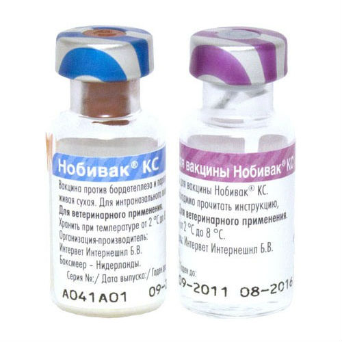 Нобивак КС (Nobivac KC) - вакцина против бордетеллеза и парагриппа собак