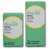 Пексион - Противоэпилептический препарат для собак