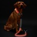 Hunter Manoa Glow - Светящийся LED-ошейник для собак оранжевый