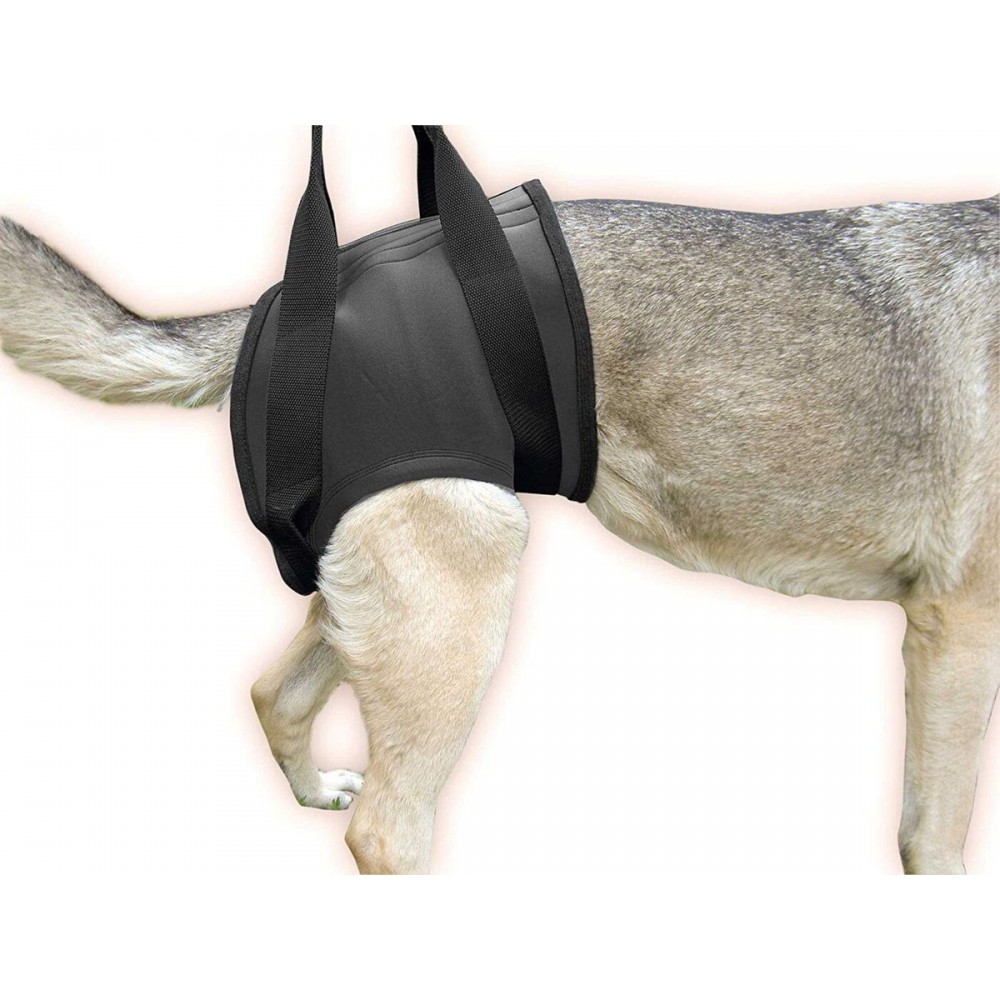 Julius-K9 Шлейка поддерживающая для собак неопрен, черный