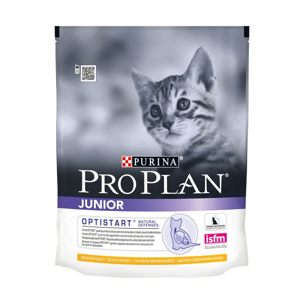 Купить Pro Plan Original Kitten - Сухой корм Проплан для котят с Курицей в  зоомагазине ПоводОК.
