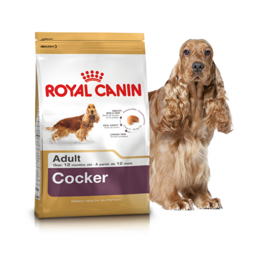 Cocker Adult - Корм для взрослых собак породы кокер-спаниель "Роял Канин Кокер Эдалт"
