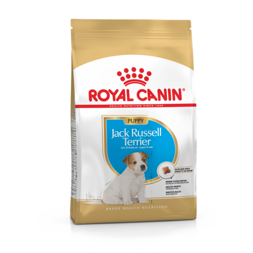 Jack Russell Terrier Puppy - Корм для щенков породы джек рассел терьер "Роял Канин Паппи"