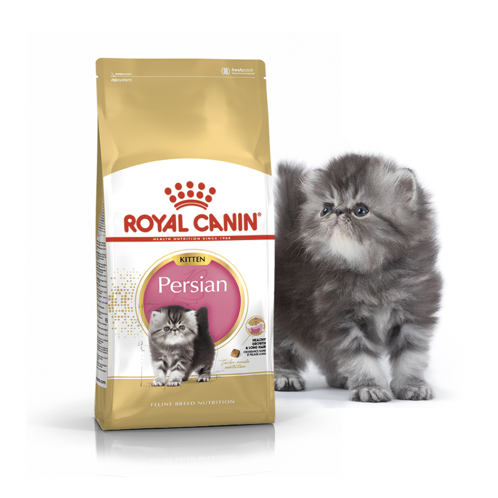 Royal Canin Persian Kitten - Корм для персидских котят "Роял Канин Киттен Персиан"