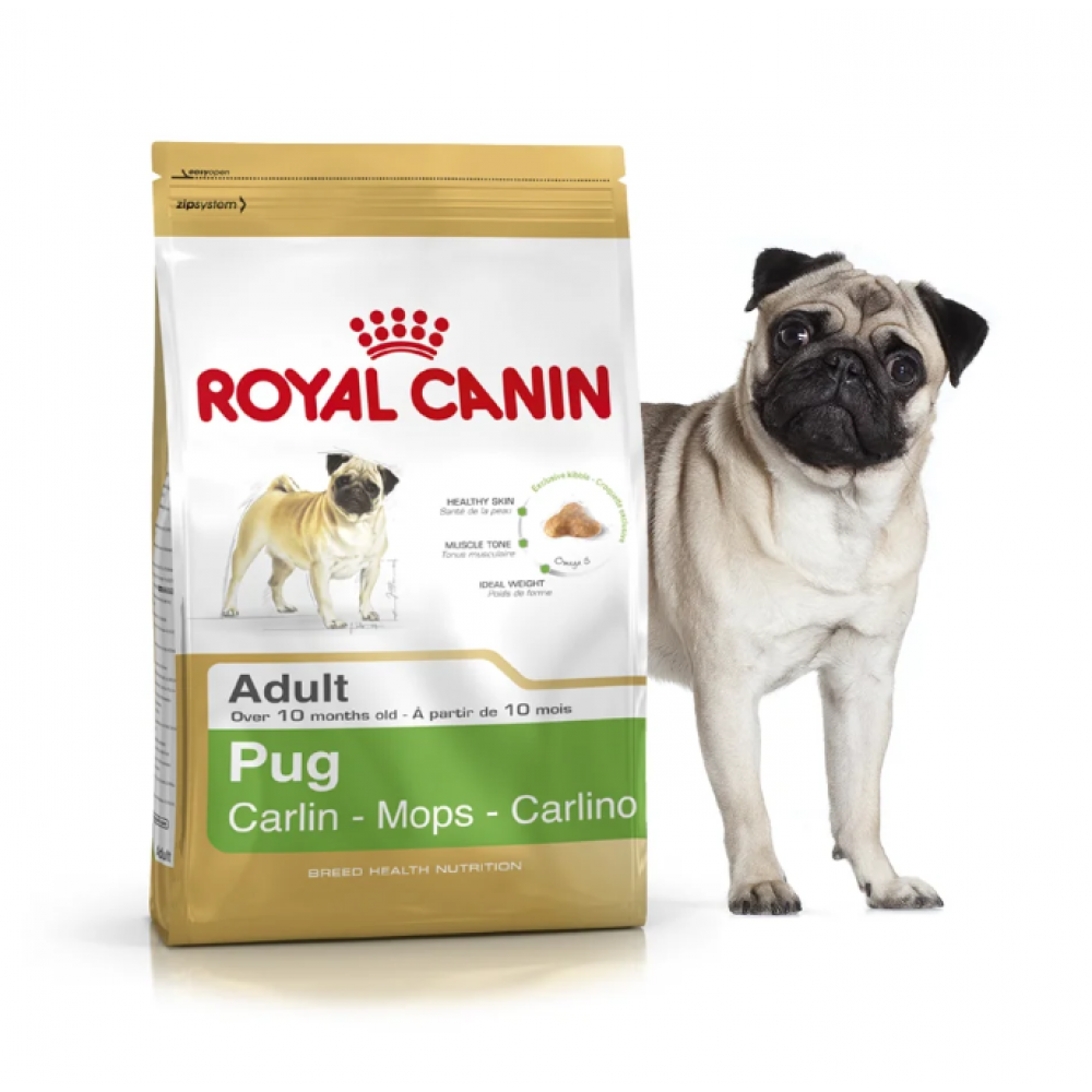 Royal Canin Pug Adult - Корм для взрослых собак породы мопс "Роял Канин Эдалт"